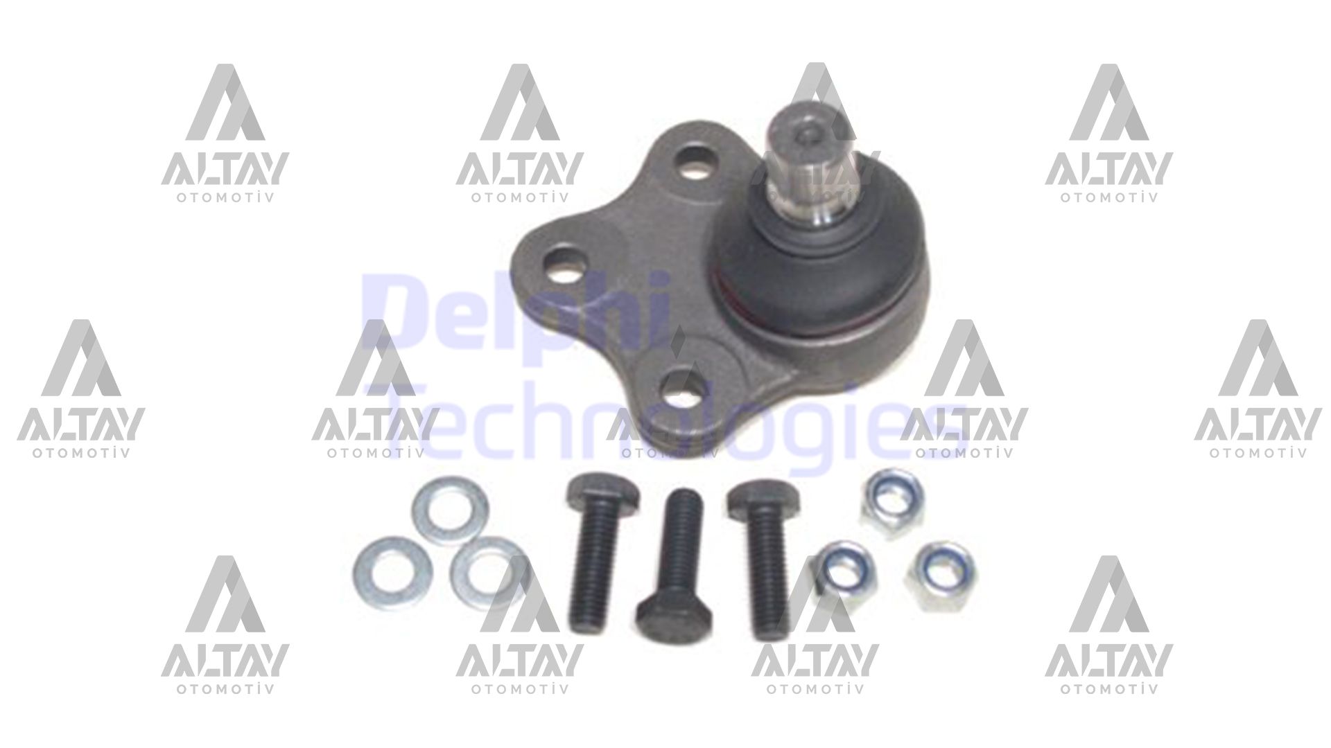 Ford Fiesta Rotil